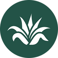 Agave Health